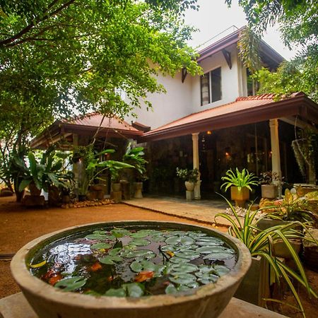 Evergreen Hotel Dambulla Exteriör bild