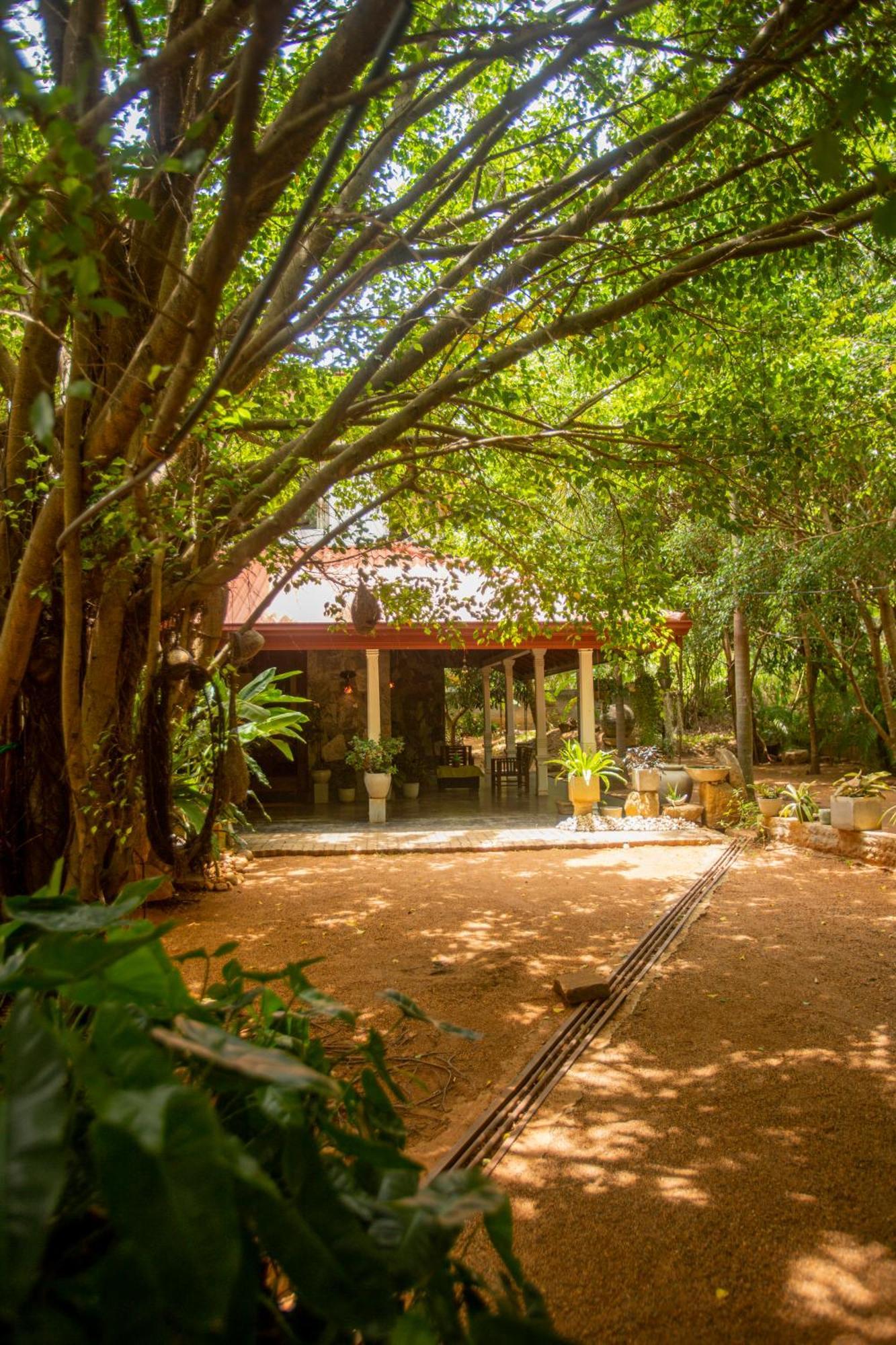 Evergreen Hotel Dambulla Exteriör bild